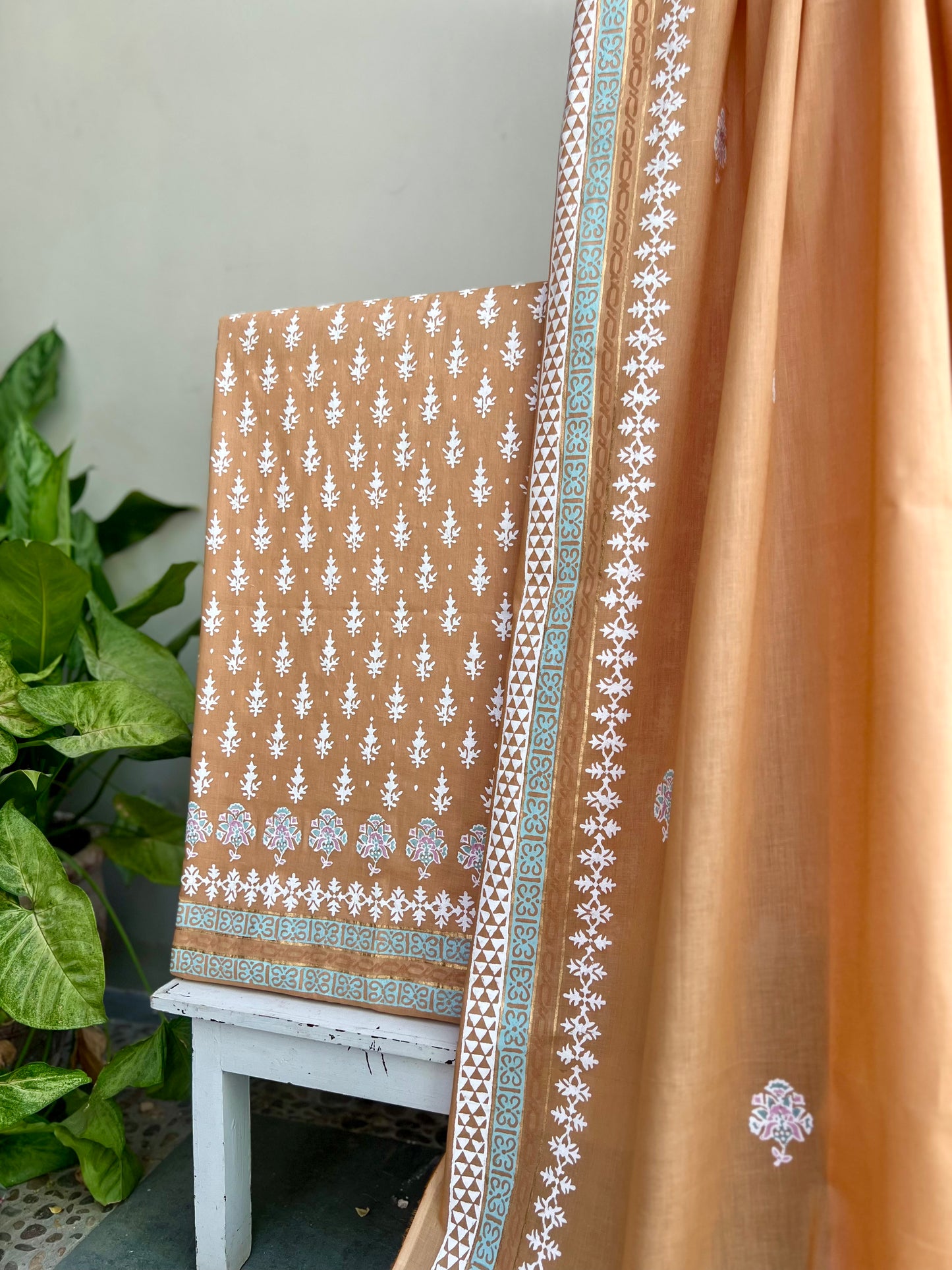 Apricot