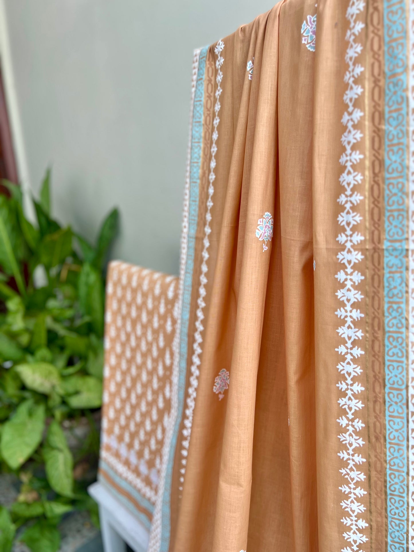 Apricot